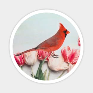 Northern Cardinal in the Tulip Flower Patch Magnet